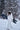 #color_frosted-white