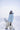 #color_creamy-white