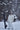 #color_frosted-white