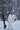 #color_frosted-white